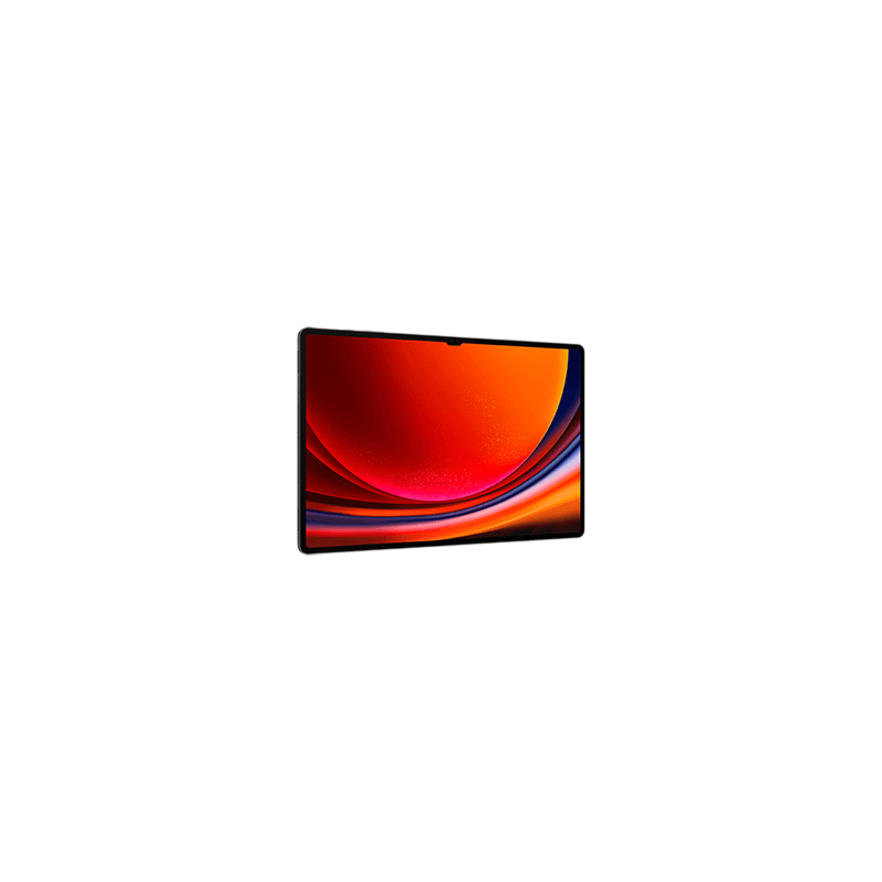 Samsung Galaxy Tab S9 Ultra WiFi 1TB Graphite