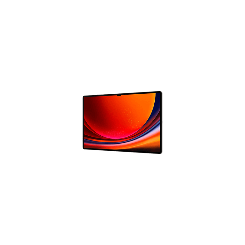 Samsung Galaxy Tab S9 Ultra WiFi 1TB Graphite